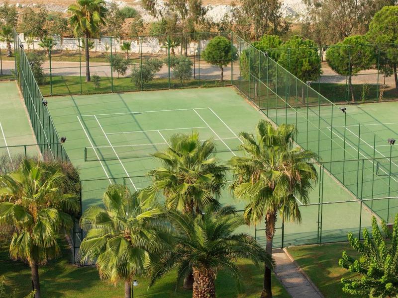 Venkovní tenisový kurt se zelenými sítěmi obklopený palmami pod jasnou oblohou.