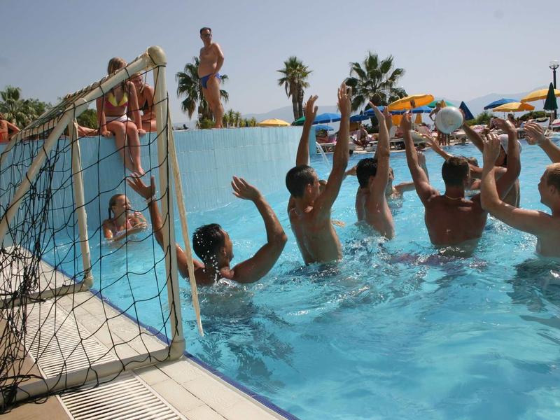 Mehrere Personen spielen Wasserball in einem Außenpool unter Sonnenschein neben Palmen.