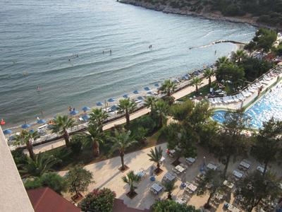 View of beach with sun loungers, palm trees, pool, and walkway by the sea.