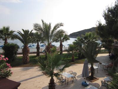 Sunny garden area with palm trees, tables, and chairs near a beach and hillside.