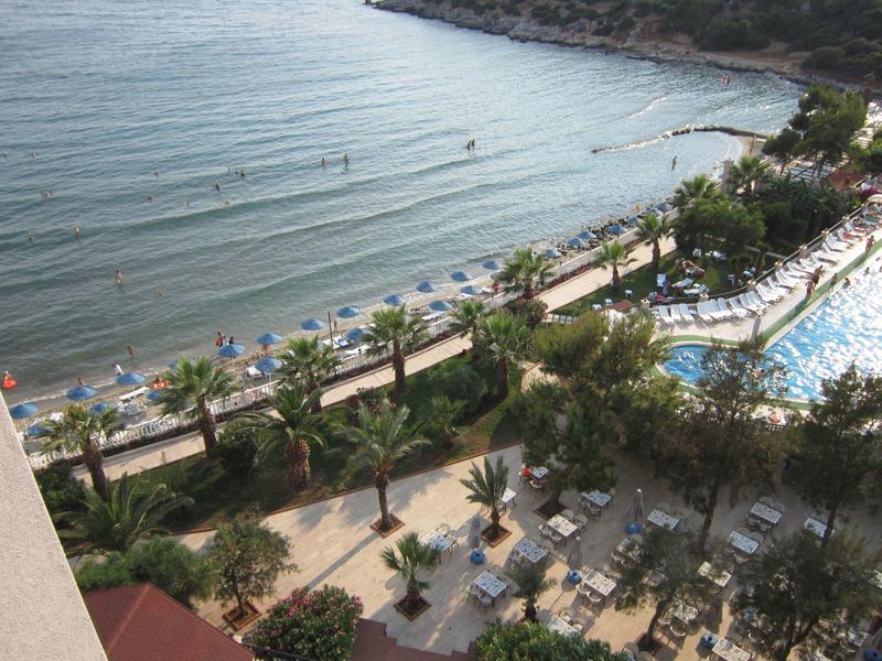 View of beach with sun loungers, palm trees, pool, and walkway by the sea.