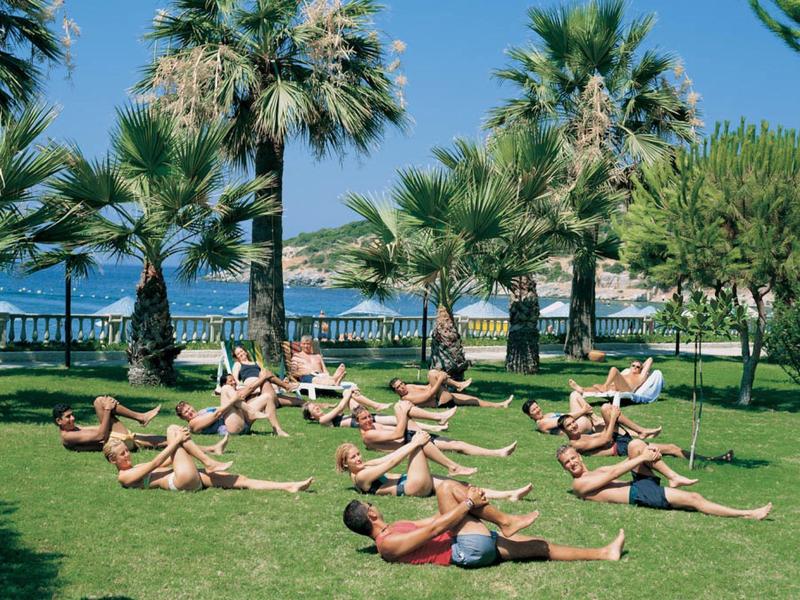 Group exercising on grass with palm trees and sea in the background.