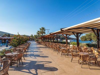 Restaurante al aire libre con mesas y sillas de madera en un día soleado y cielo azul.