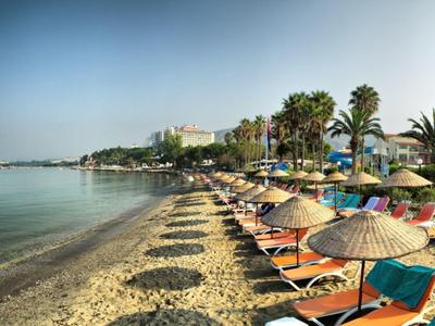 Strand mit Sonnenschirmen und Liegestühlen, palmengesäumte Küste und klares blaues Wasser.