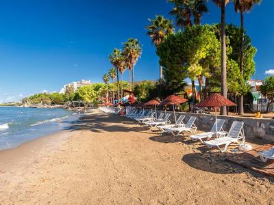 Sandstrand mit Liegestühlen, Palmen und klarem blauem Himmel am Meerufer.