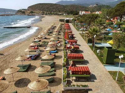 Langer Sandstrand mit Sonnenliegen und Schirmen, daneben Promenade mit Palmen und Grünflächen.