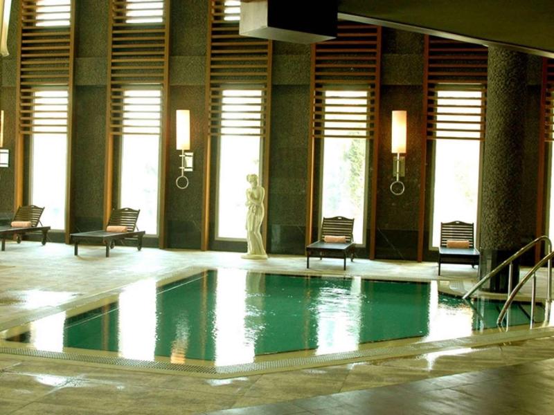 Innenbereich mit rechteckigem Hallenbad, großen Fenstern und gemütlichen Sesseln am Rand.