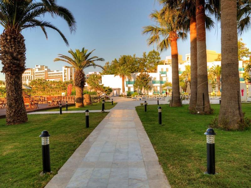 Ein breiter Gehweg führt durch einen Park mit Palmen und Lampen, im Hintergrund Gebäude und blauer Himmel.