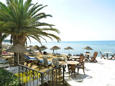 Beach terrace with chairs, tables, and palm trees, ocean view on a sunny day