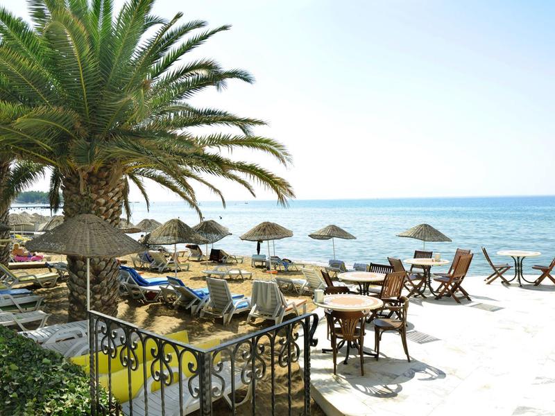 Beach terrace with chairs, tables, and palm trees, ocean view on a sunny day