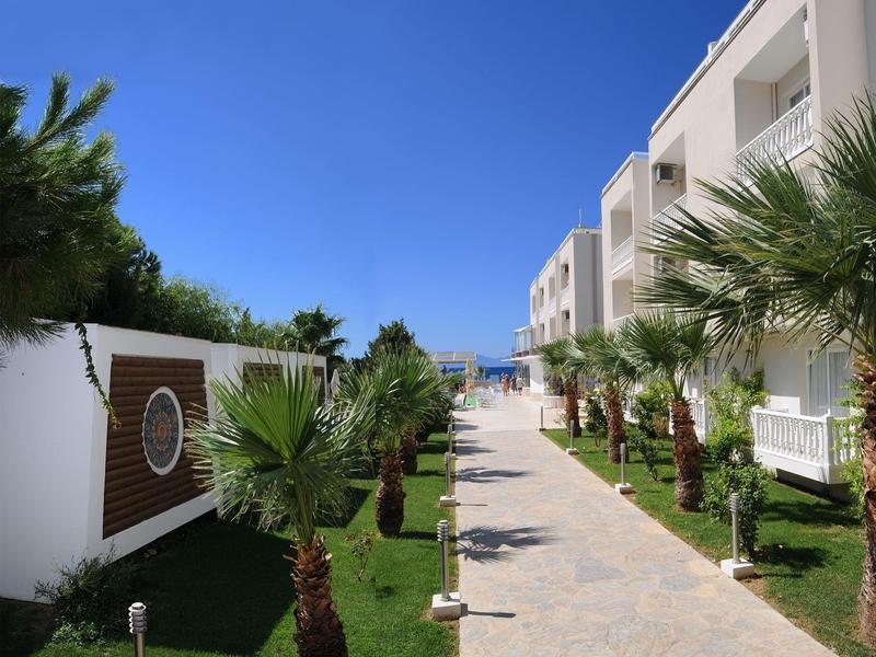 Jasná cesta s palmami a moderní hotelovou architekturou pod modrou oblohou.