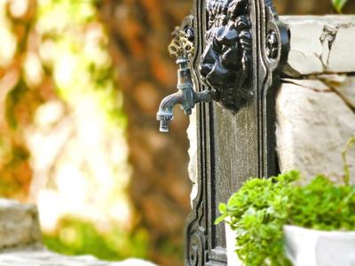 Schwarzer Wasserspender mit Löwenkopf aus Metall an Steinmauer neben grünen Pflanzen.