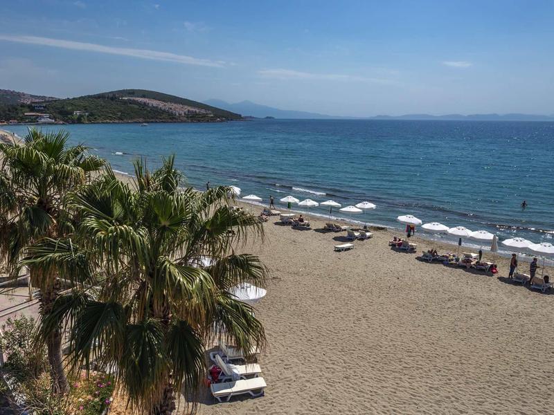 Spokojna plaża z białymi parasolami, leżakami, palmami i niebieskim morzem pod czystym niebem.