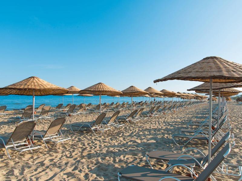 File di lettini vuoti con ombrelloni di paglia su una spiaggia sabbiosa vicino al mare sotto un cielo azzurro limpido.