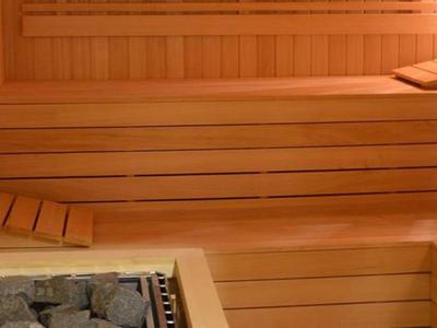 Interior of a wooden sauna featuring a heater with stones and wooden benches.