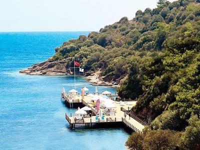 Küste mit klarem blauen Meer, grünen Bäumen und Steg mit Booten an felsiger Uferlinie.