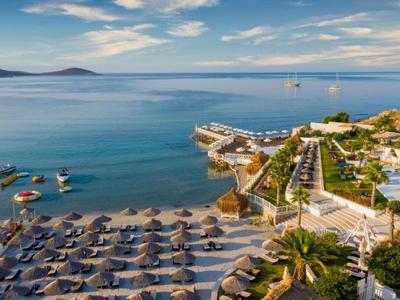Playa con tumbonas, palmeras y mar tranquilo bajo cielo azul
