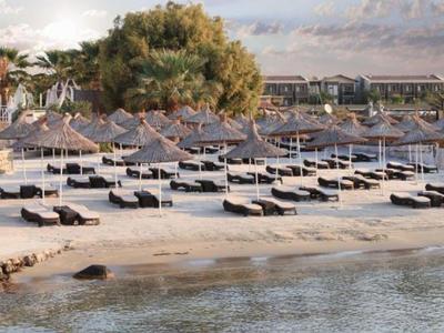 Filas de tumbonas y sombrillas en la playa de arena tranquila con agua clara y cielo nublado