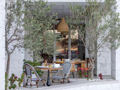 Acogedora zona exterior de cafetería con mesas redondas y sillas entrelazadas bajo olivos.