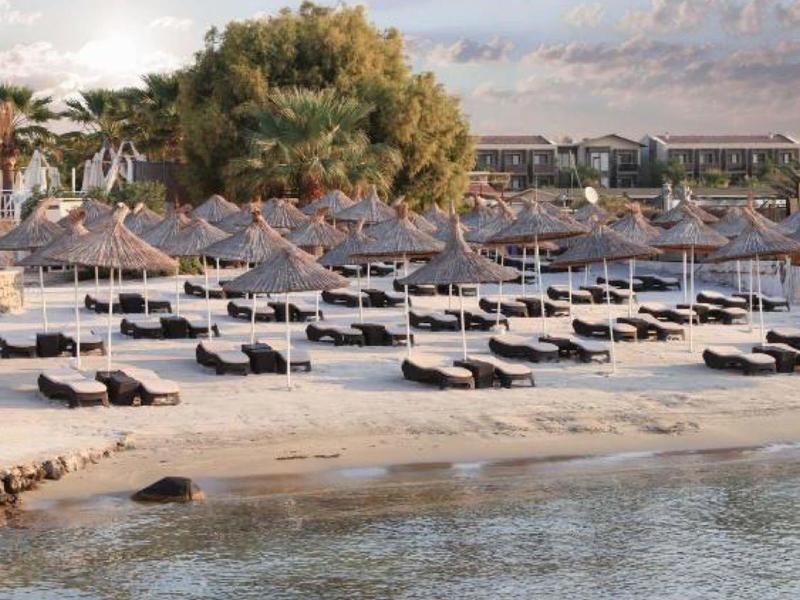 Filas de tumbonas y sombrillas en la playa de arena tranquila con agua clara y cielo nublado
