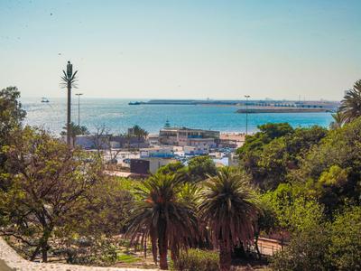 Vista al mar con puerto, árboles y edificios en primer plano bajo un cielo despejado.