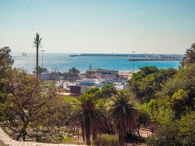 Blick auf Hafen mit Booten und Bäumen im Vordergrund, unter blauem Himmel am Meer.