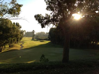 Green golf course with trees and sunlight in the background.
