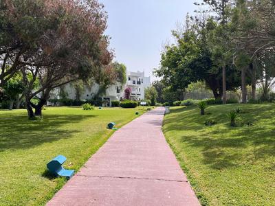 Wybrukowana ścieżka prowadzi przez zielony ogród z drzewami i białymi budynkami w tle.