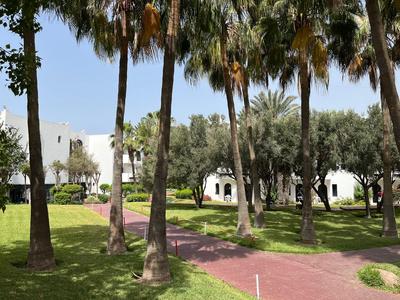 Teren hotelowy z białymi budynkami, palmami i wyłożoną ścieżką na zielonej trawie.