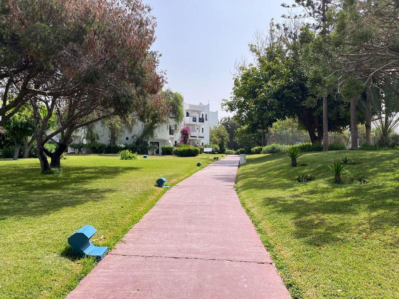 Różowa ścieżka prowadzi przez zadbany ogród do białego budynku.