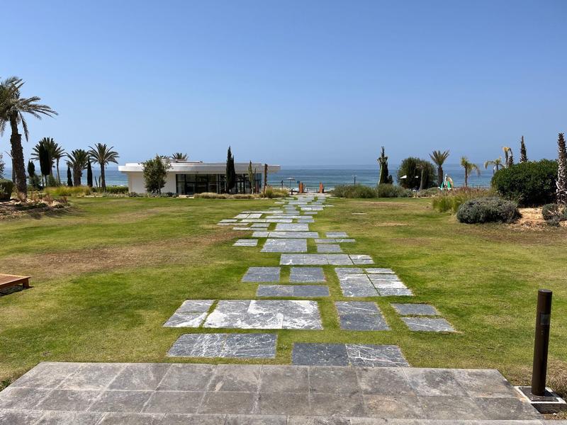 Een geplaveid pad loopt door een grasachtig buitengebied met palmelaars en uitzicht op zee.