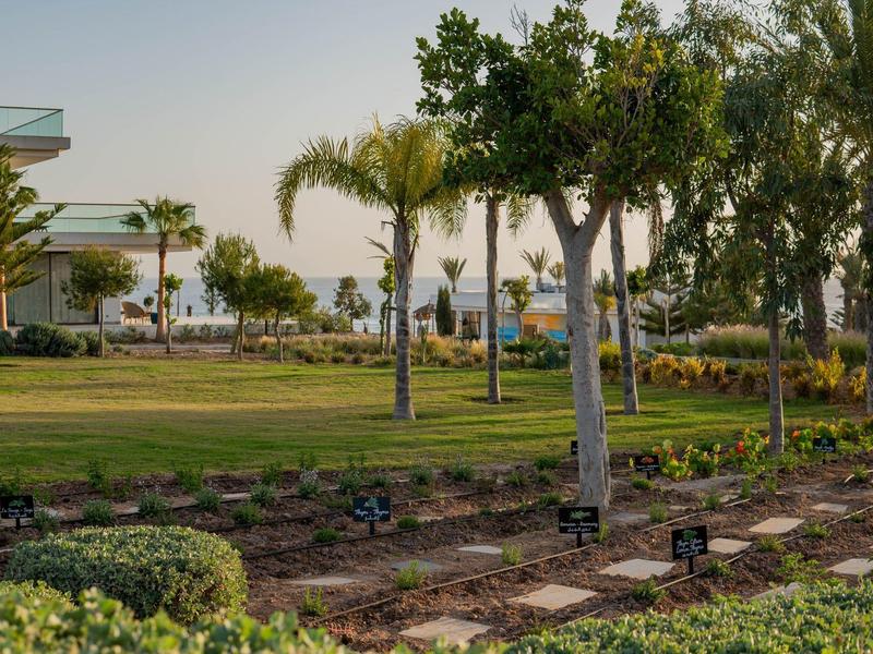 Groene tuin met palmbomen en goed onderhouden planten op hotelterrein bij zonsondergang.