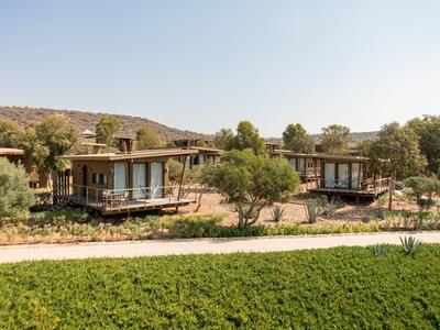 Deux bungalows modernes entourés d'arbres et de paysage sous un ciel dégagé.