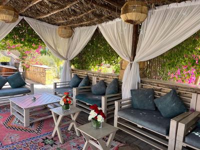 Cozy outdoor lounge with wooden furniture and white curtains surrounded by green plants.