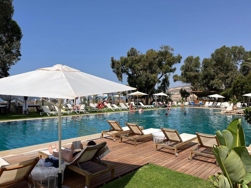 Grande piscine avec chaises longues et parasols sur terrasse en bois sous un ciel bleu.
