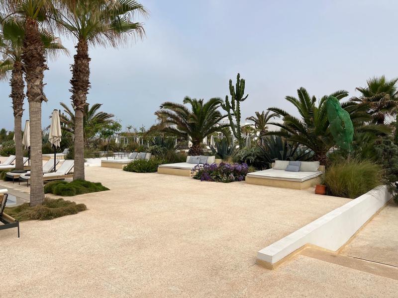 Große Terrasse mit hellen Fliesen, Palmen und grünen Pflanzen unter blauem Himmel.