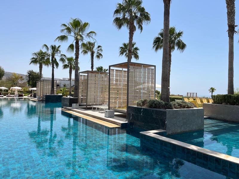 Moderner Pool mit klar blauem Wasser, Palmen und überdachten Liegeflächen bei sonnigem Himmel.