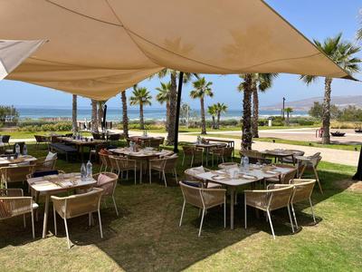 Restauracja na świeżym powietrzu z stolikami pod żaglami przeciwsłonecznymi z widokiem na palmy i morze.