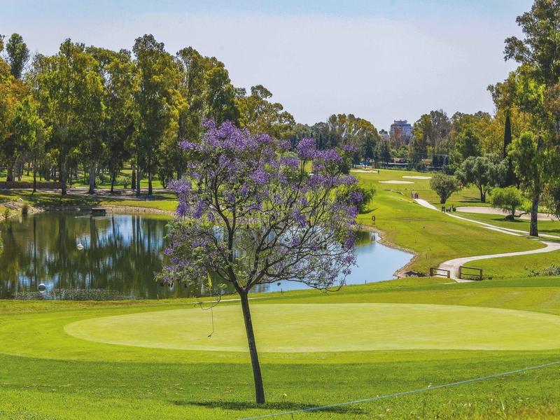 Campo da golf con un albero viola al centro e uno stagno sullo sfondo sotto un cielo azzurro.