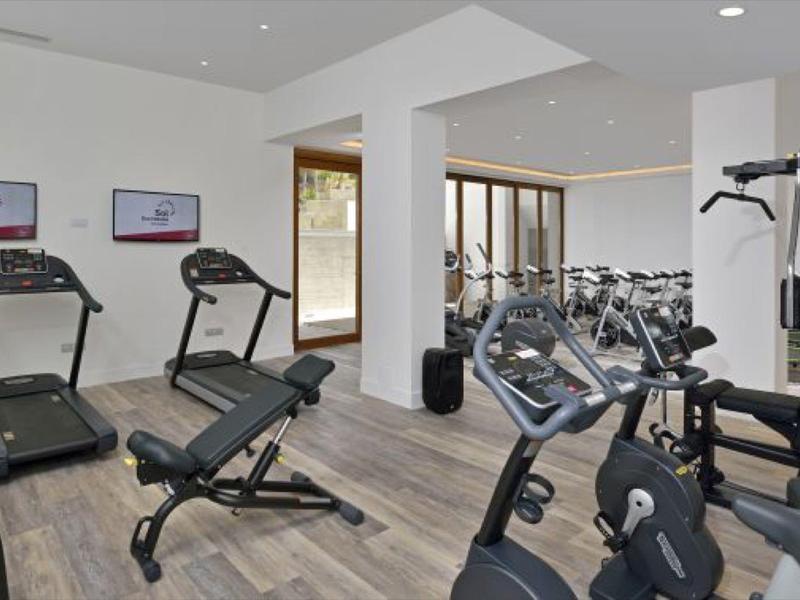 Moderní posilovna s běžeckými pásy, rotopedy a posilovacími stroji.