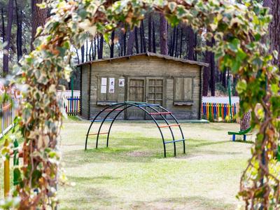 Hřiště oblouky s květinami rámující dřevěnou chatu v pozadí v lesním parku.