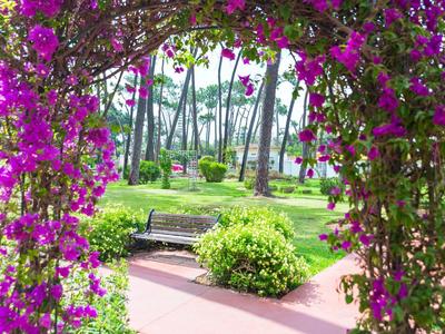 Blick durch ein Blütentor mit violetten Blumen auf Parkbank, grüne Büsche und Palmen im Hintergrund.