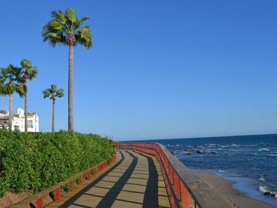 Promenade with palm tree path next to the sea under clear blue sky