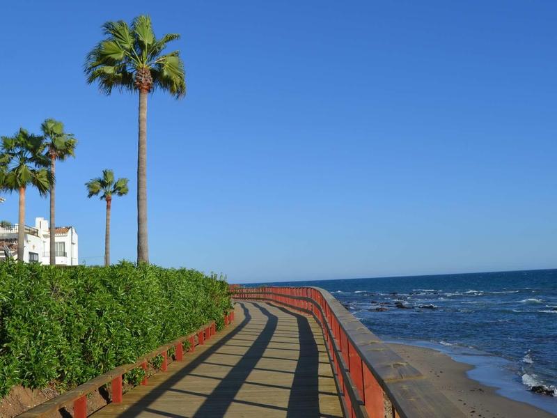 Promenade with palm tree path next to the sea under clear blue sky