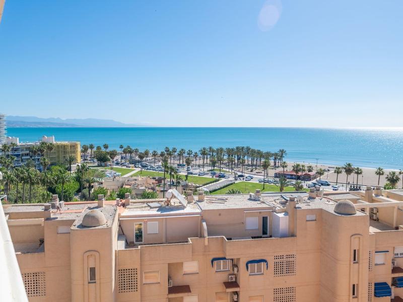View of the sea, palm trees, and buildings under clear sky