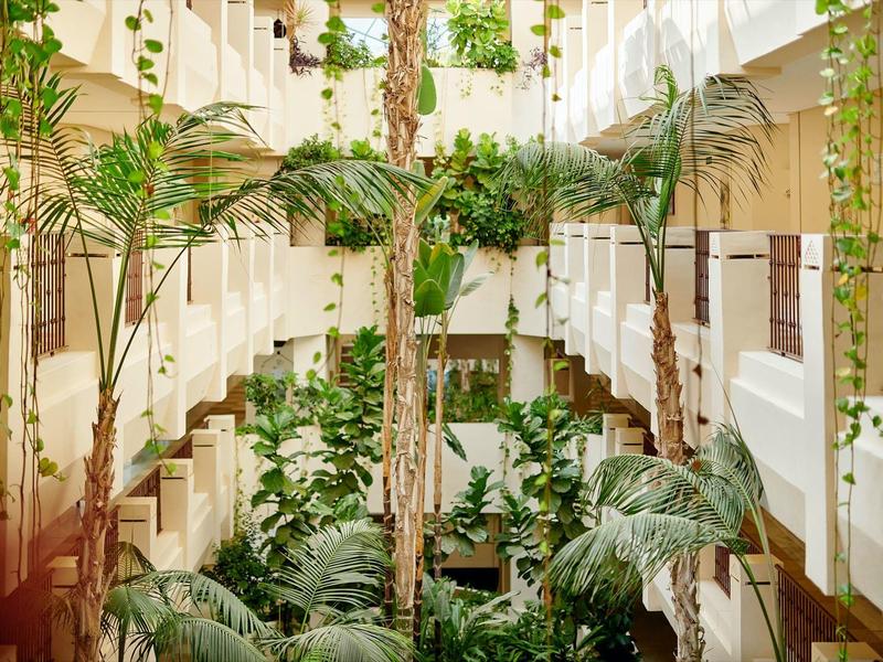 Brightly lit hotel atrium with tropical plants and white balconies.