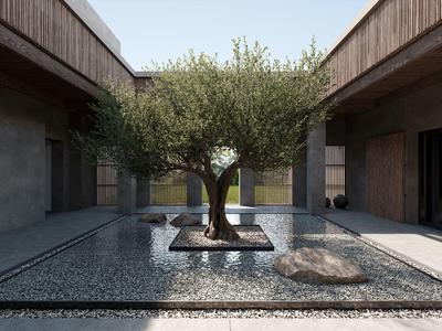 Patio moderno con árbol cítrico en el centro, rodeado de agua y fachadas de madera.