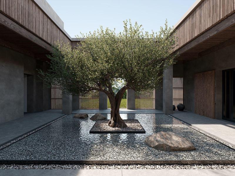 Patio moderno con árbol cítrico en el centro, rodeado de agua y fachadas de madera.