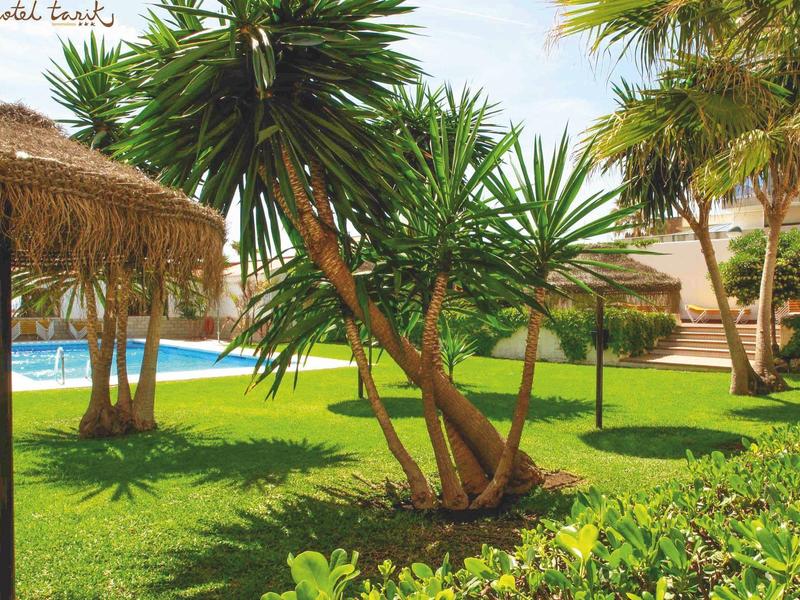 Green garden with palm trees, thatched roofs, and a pool in sunny weather