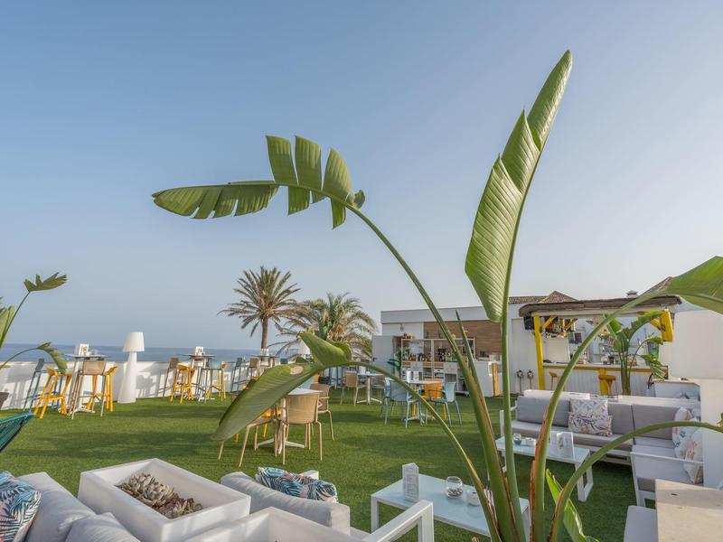 Grüner Garten mit Palmen und See im Hintergrund unter klarem blauem Himmel.